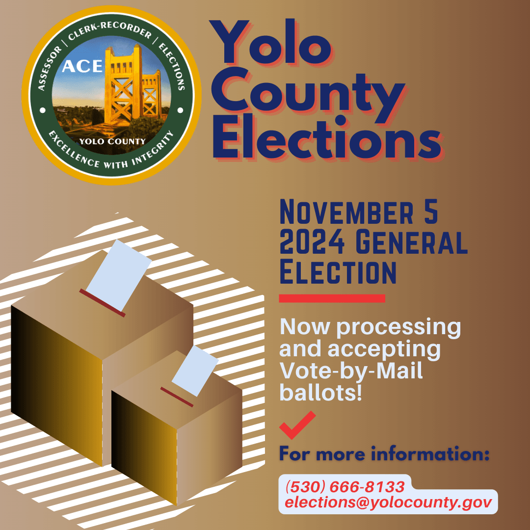 Yolo CEO Now Processing and Accepting VBM Instagram